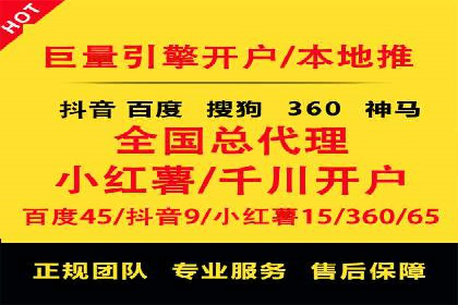 百度竞价代运营公司成功案例分析